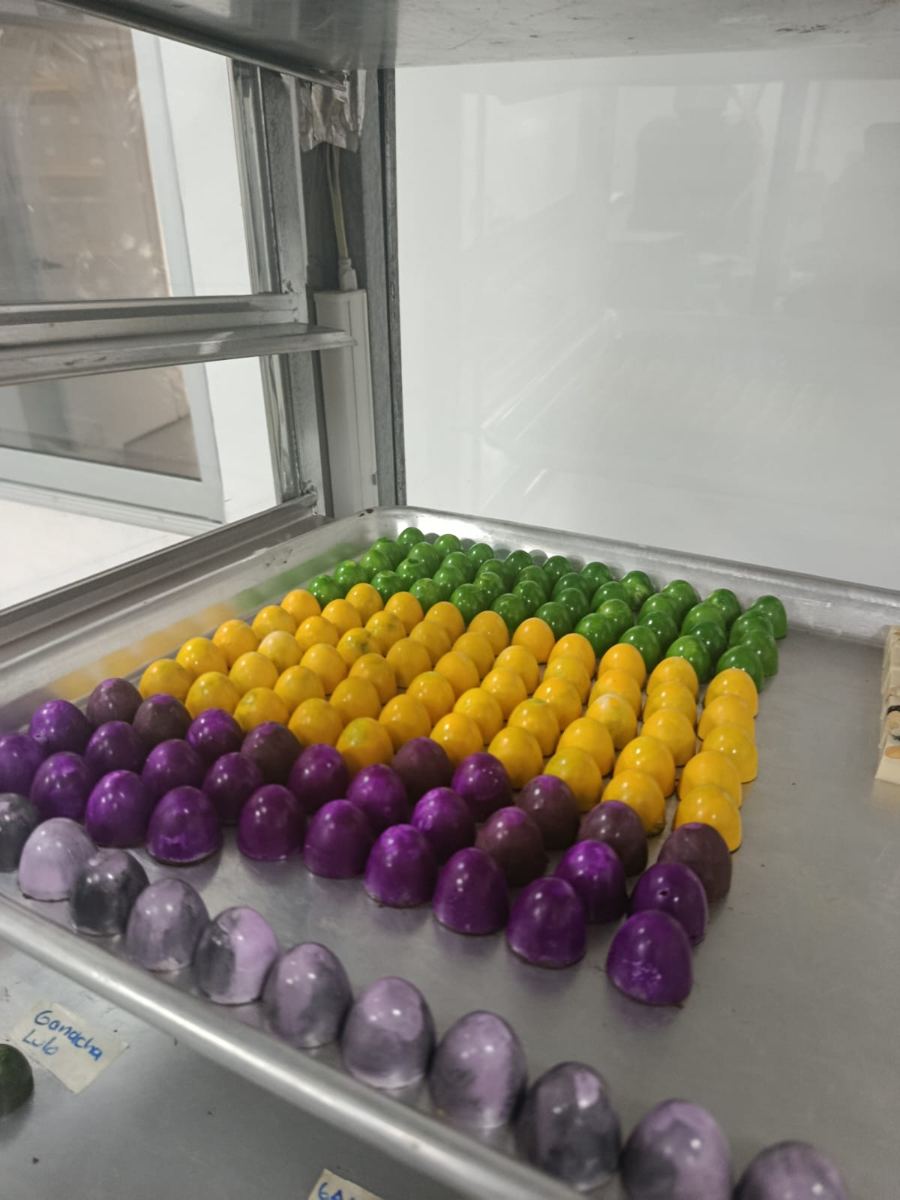 Bombones de colores recién desmoldados en bandeja